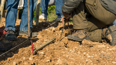 Il baratto amministrativo: saldare i debiti lavorando